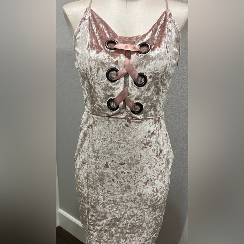 Project RUNWAY Pink Velvet Dress 1st photo smaller size than actual dress